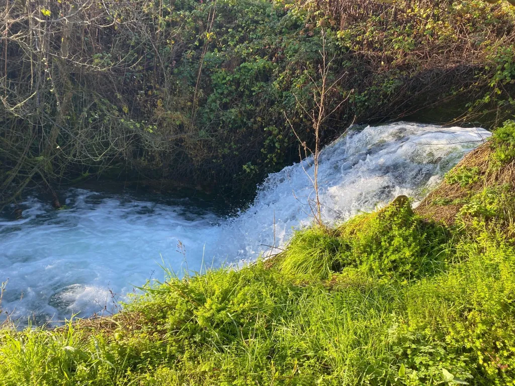 Ancien Moulin avec Plan d'Eau à Figeac