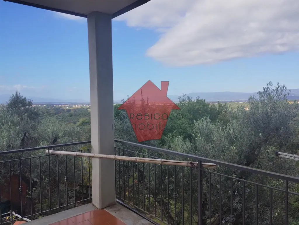 Rõdu - Terraced House with Olive Grove in Vinci