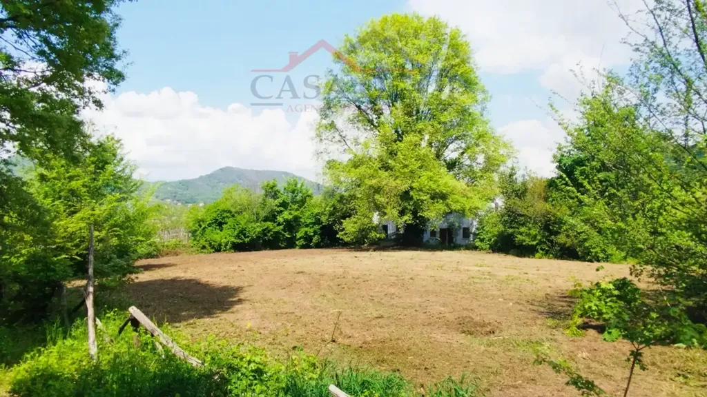 Garden - Rustic Property with Mountain View in Teolo