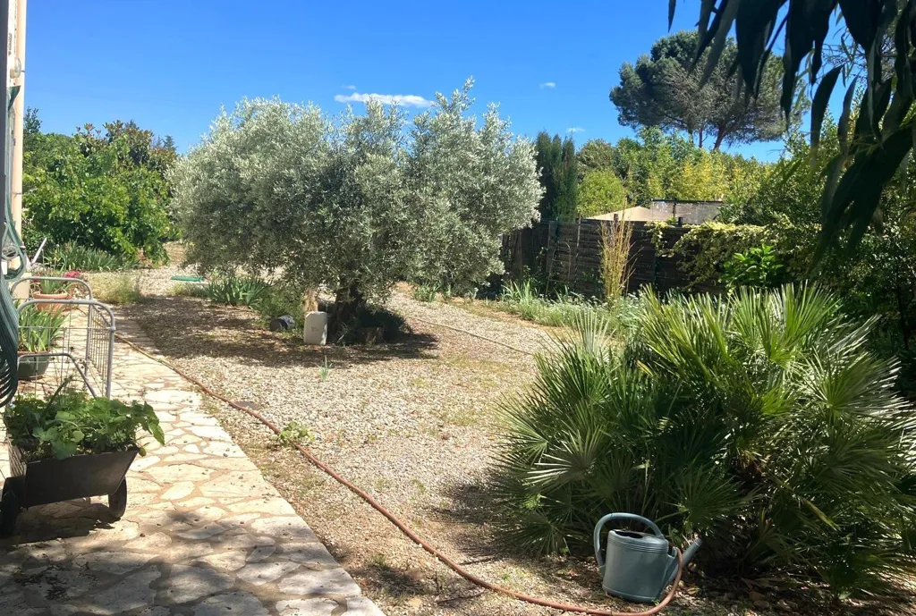 Jardin - Appartement en Rez-de-Jardin avec Jardin à Béziers