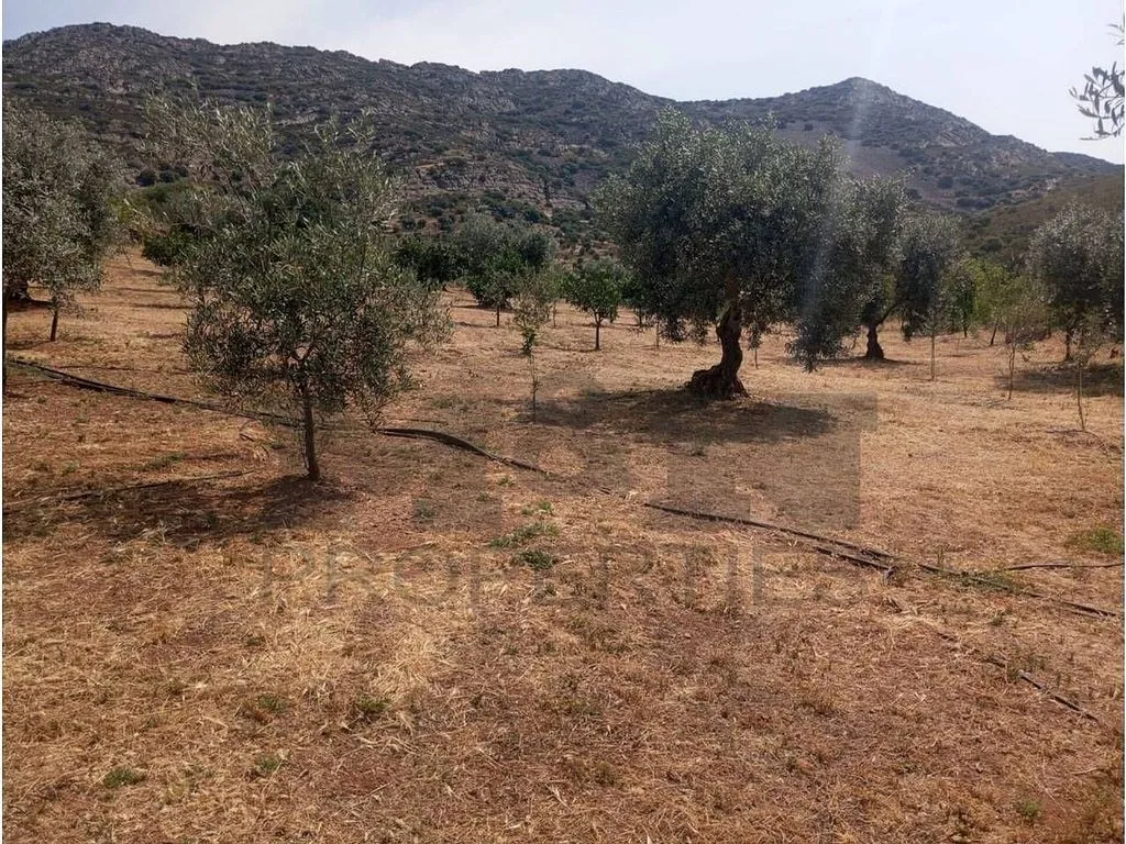 Aed - Rural Cortijo with Pool near Alange