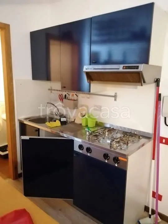 Cuisine - Studio with Garage in Frabosa Sottana
