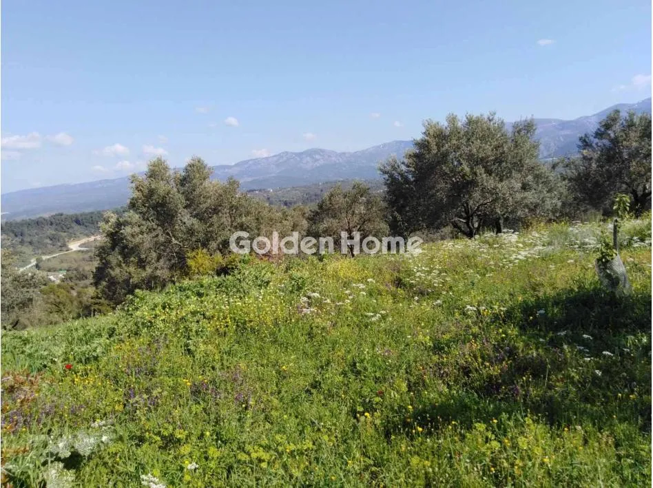 Giardino - Unique Estate with Panoramic View in Kainoi, Euboea