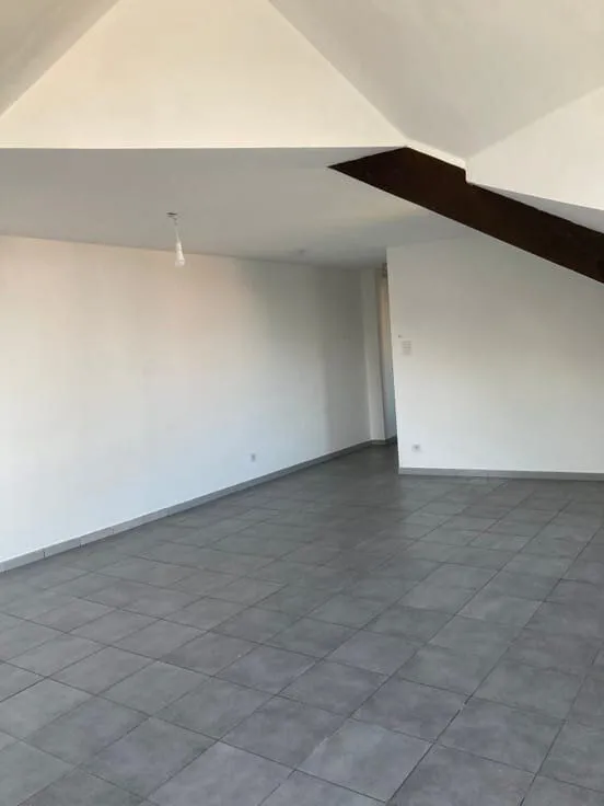 Toad - Bright Flat Near Wavre Centre