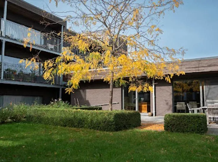 Aed - Accessible Flat with Terrace in Lierde