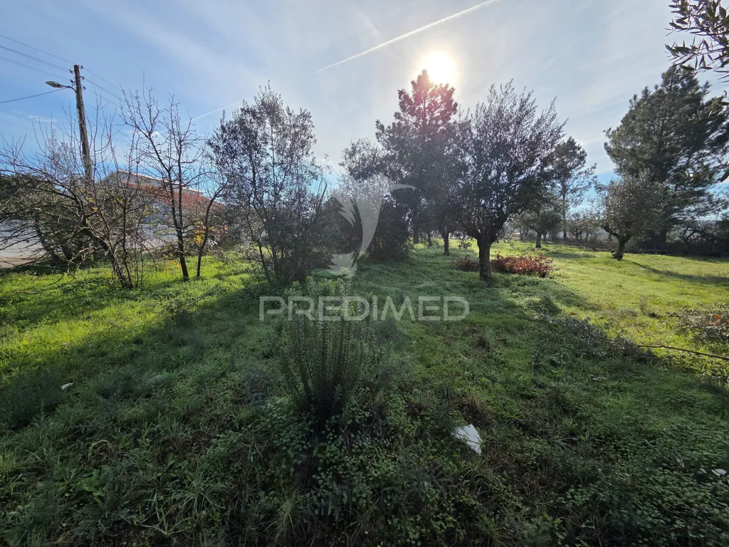 Aed - Urban Plot with Construction Permit in Ribatejo
