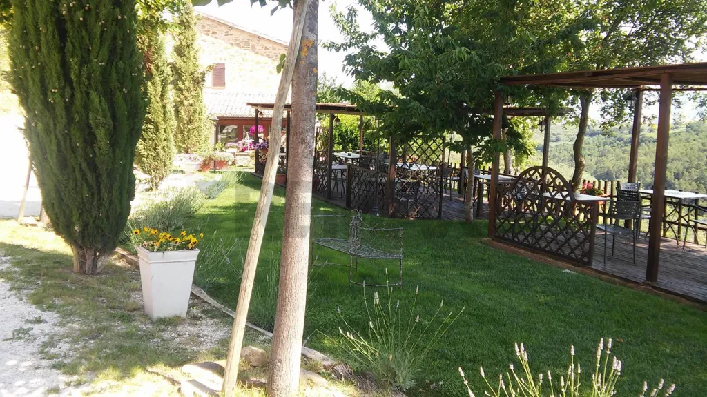 garden