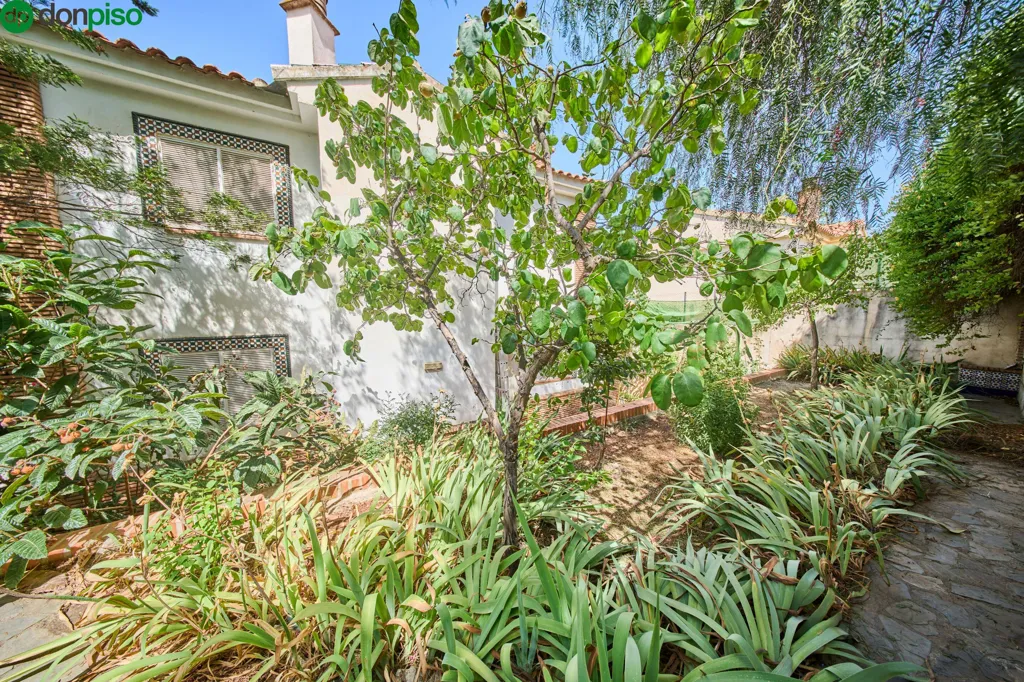 garden