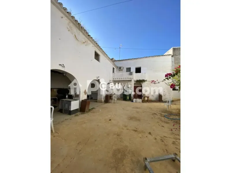 Garten - Señorial Patio House in Lebrija