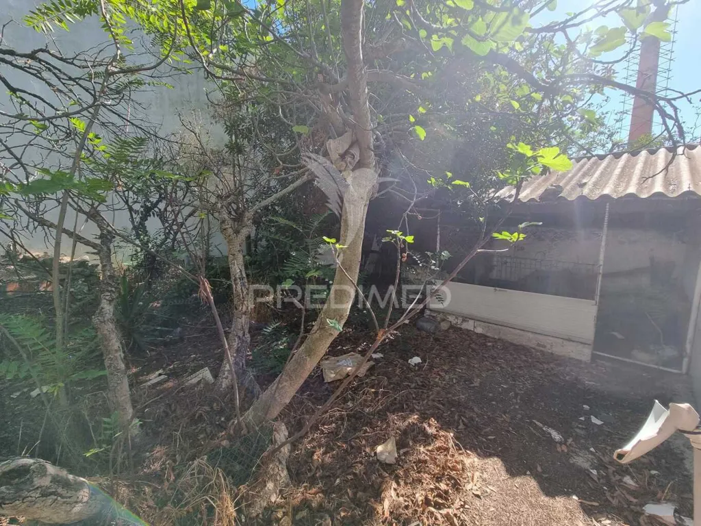 Aed - Buildable Plot with Ruin in Loulé