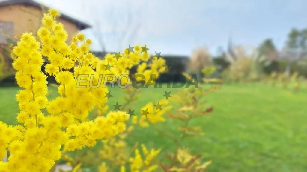 Aed - Villa with Pool in Lazise