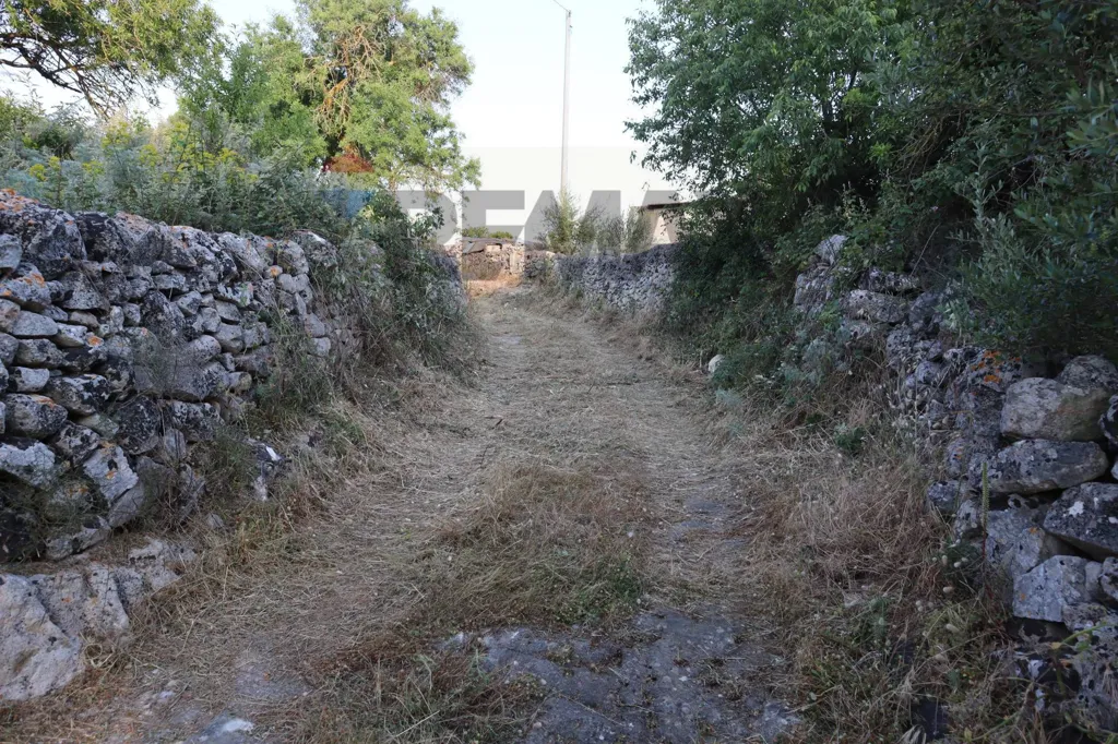 Jardin - Rustic Farmhouse with Private Garden in Ragusa