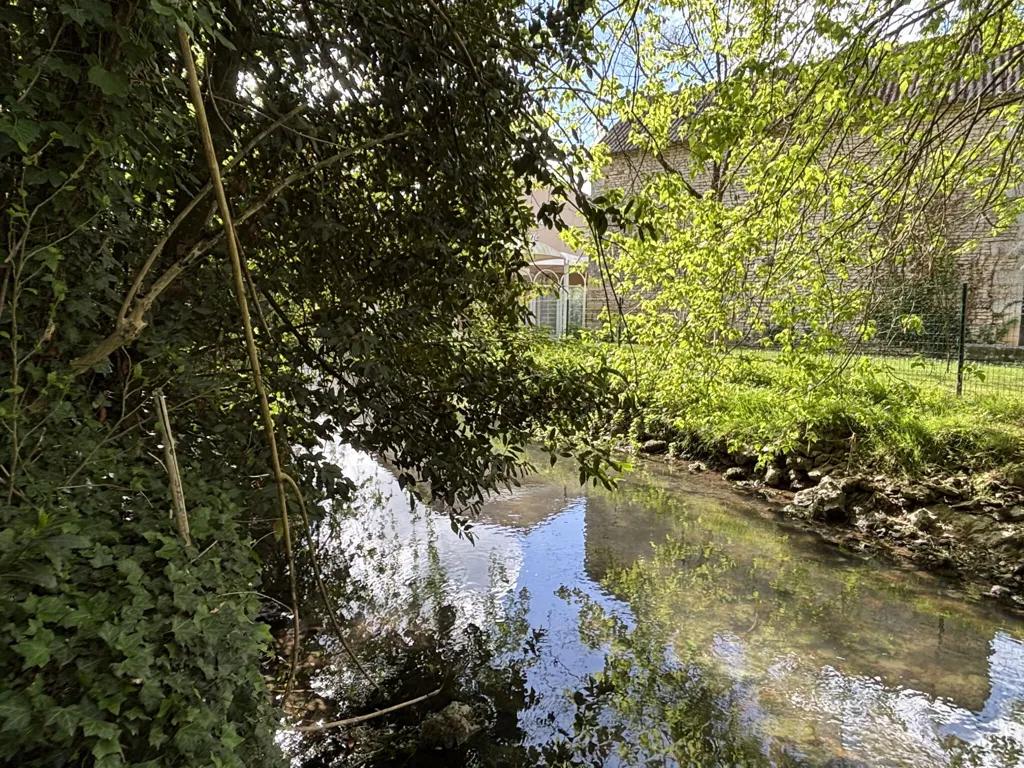 Character House with River Access in Vouillé