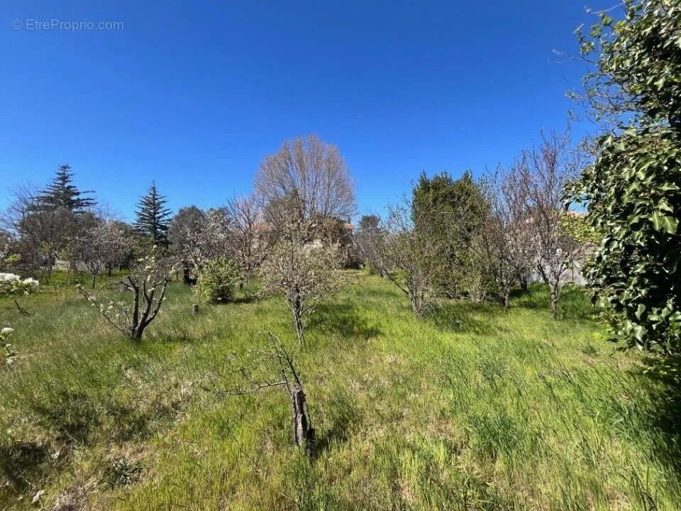 Aed - Buildable Plot with Garden in Vinon-sur-Verdon