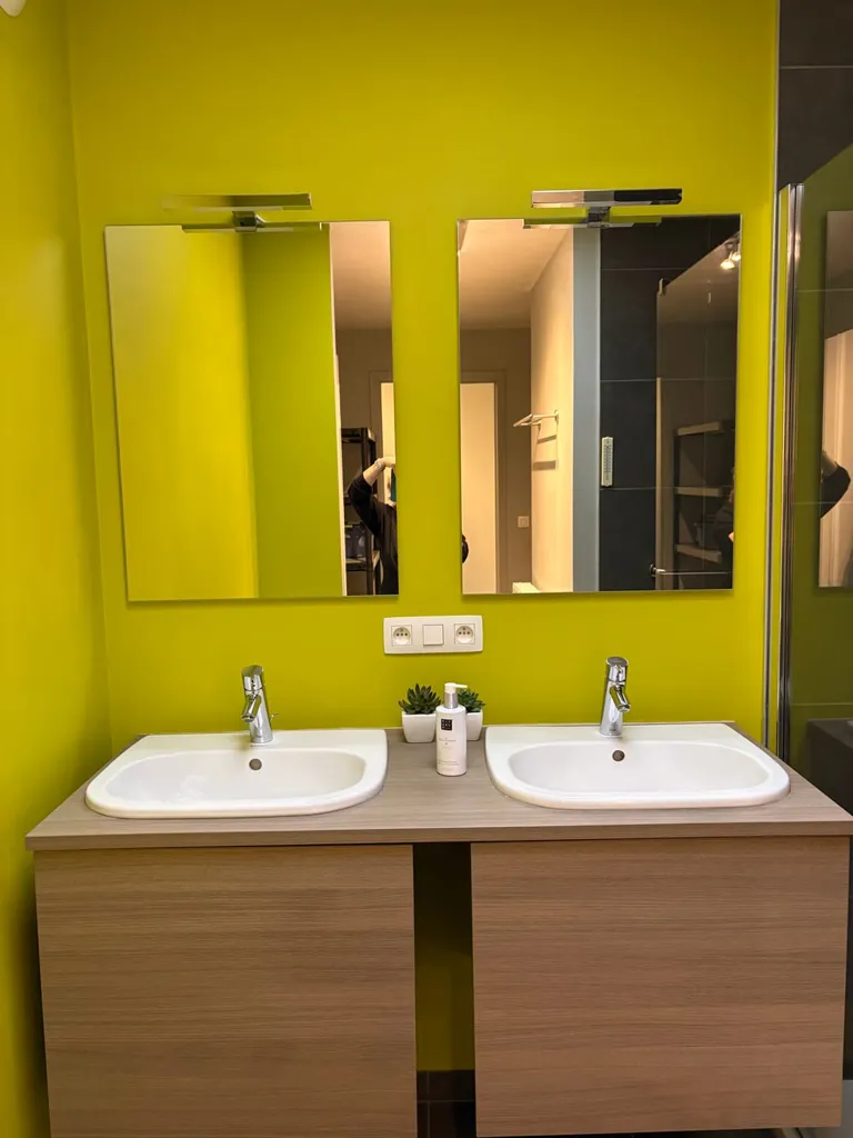 Salles de bain - Appartement avec 2 Terrasses au Centre de Halle