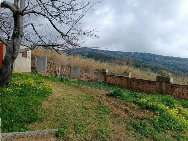 Garten - Villa Apartment with Terrace in Bonifati