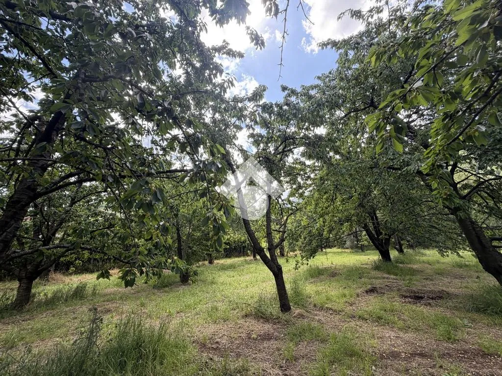 Jardin - Agricultural Land with Cherry Trees in Cervinara
