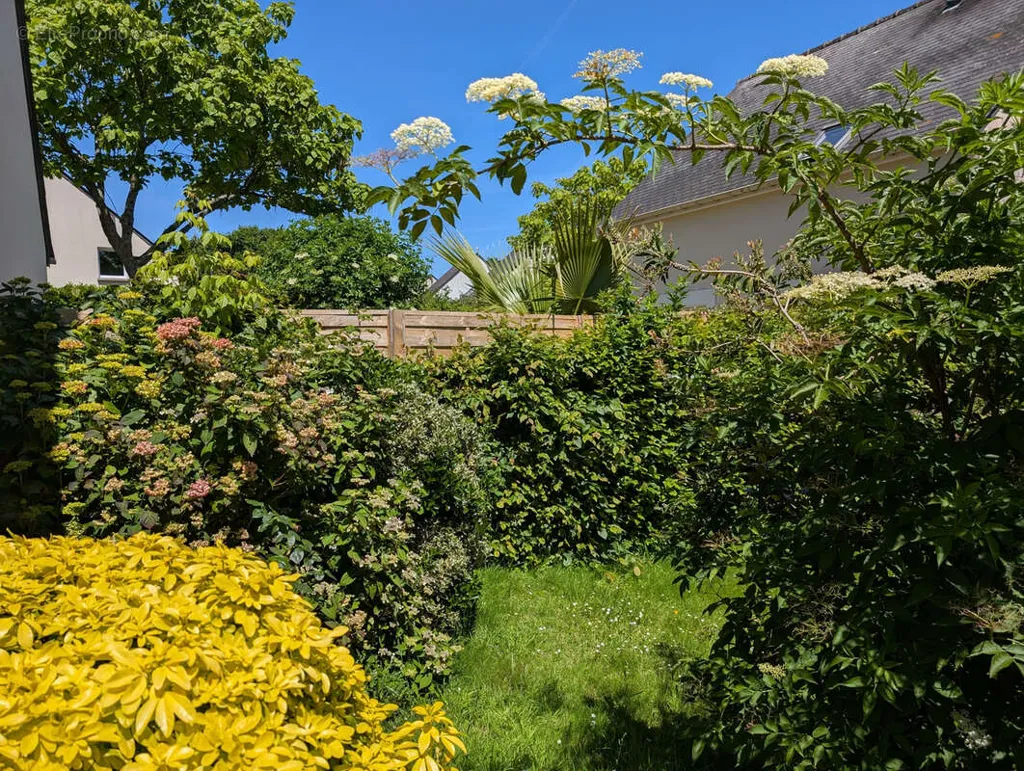 Aed - House with Garden in Meucon Centre