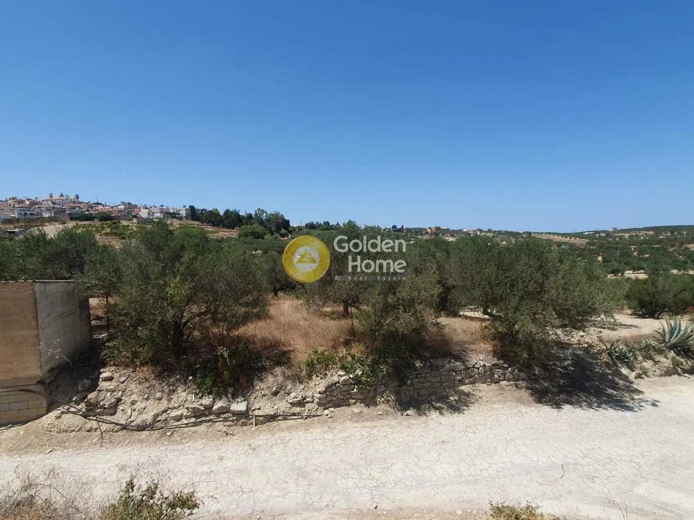 Jardin - Buildable Plot with Sea View in Episkopi