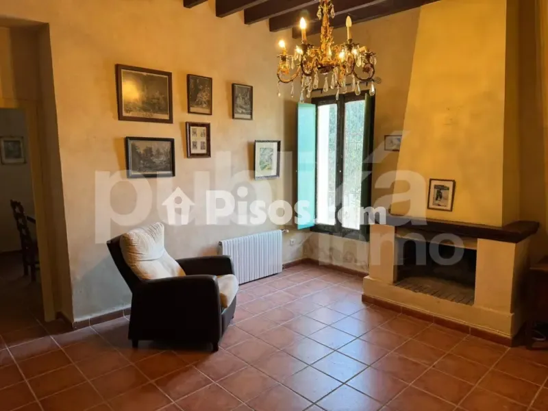 Séjour - Historic Villa with Archaeological Setting in Elche