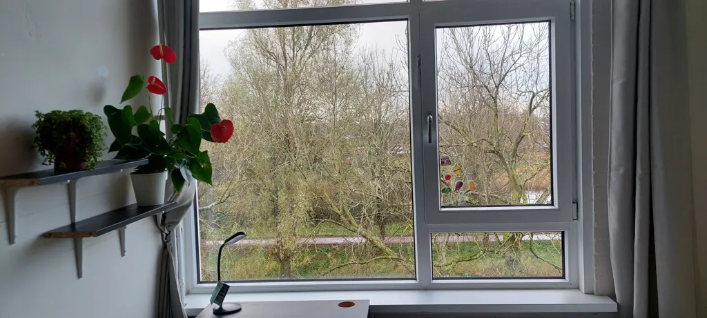 Kabinet - Female-Only Room in Amsterdam-Noord