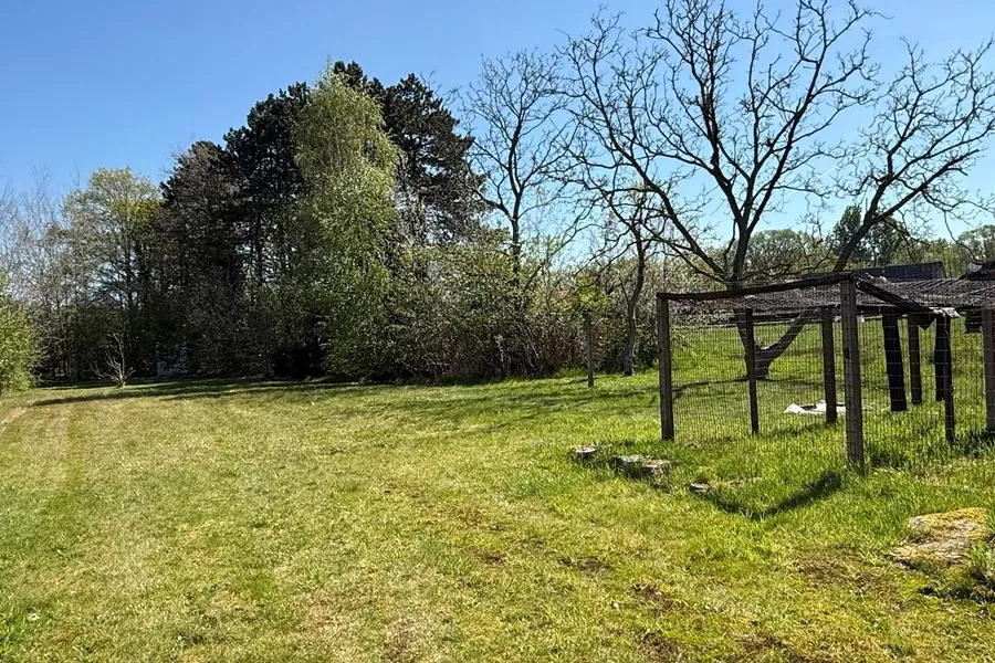 Garden - Renovatable House with Garden in Baal