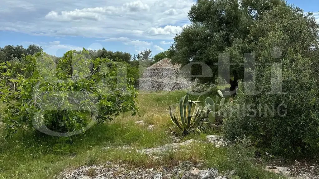 Aed - Villa with Trulli in Ostuni