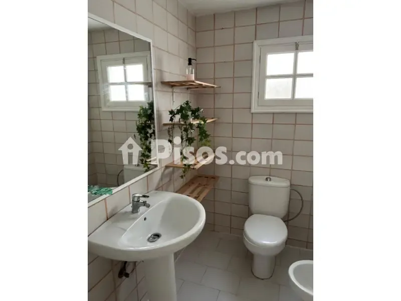 Bagni - Apartment with Sea View in Corralejo