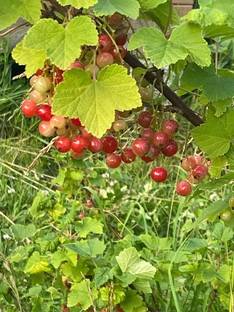 4-toaline maja asukohas Norrtälje kommun