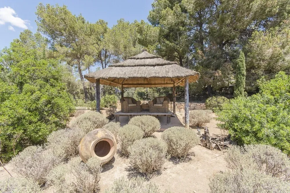 Jardin - Historic Chalet with Pool and Terrace in Sant Josep