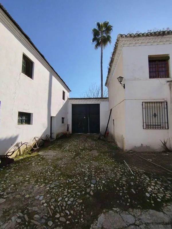 Jardin - Traditional Andalusian Chalet with Patio in Granada