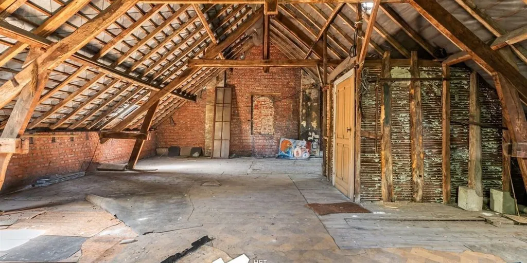 Toad - Renovatable House with 5 Bedrooms in Olmen