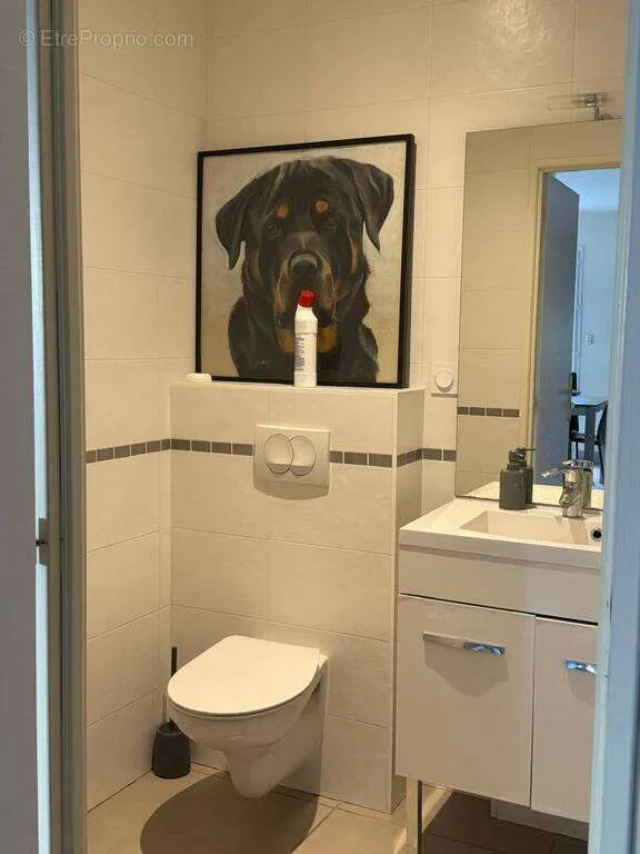 Bathrooms - Linked Villa with Large Terrace in Saint-Genis-Pouilly