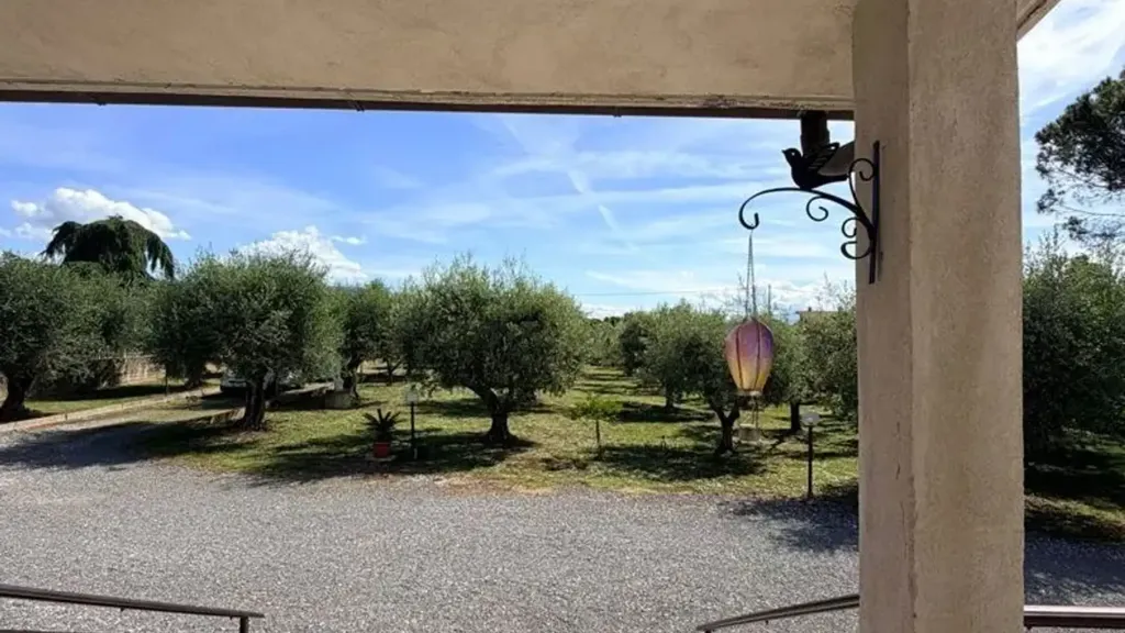 Terrazza - Rustic Villa with Olive Grove in Lanuvio