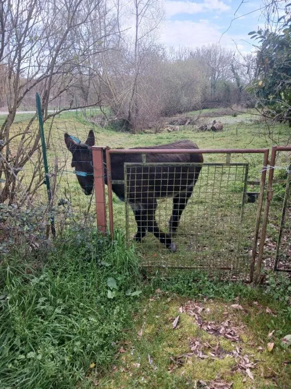 Aed - Longère with Garden in Champvert Hamlet