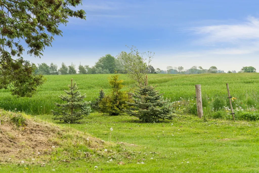 Aed - Classic Farmhouse with Stable in Kosterslev