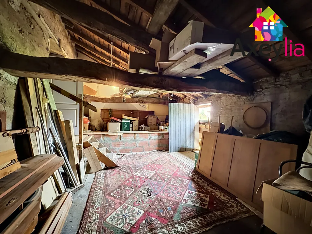 Toad - Divisible House with Constructible Land in Balbigny