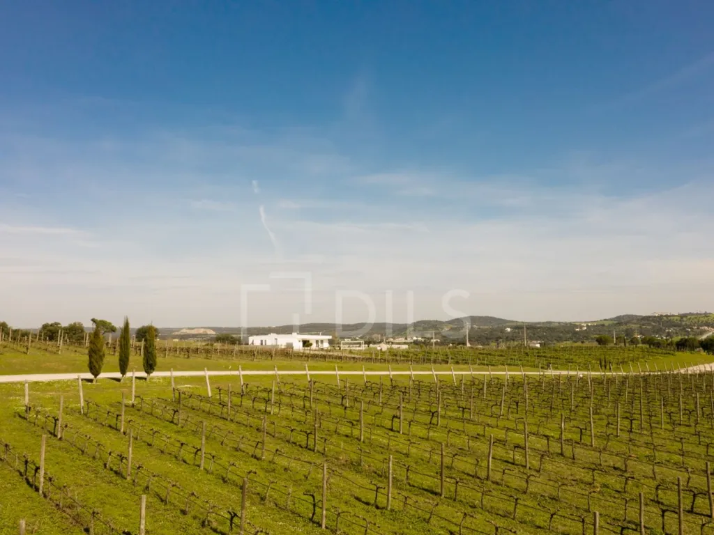 Aed - Villa with Pool and Vineyard in Alentejo