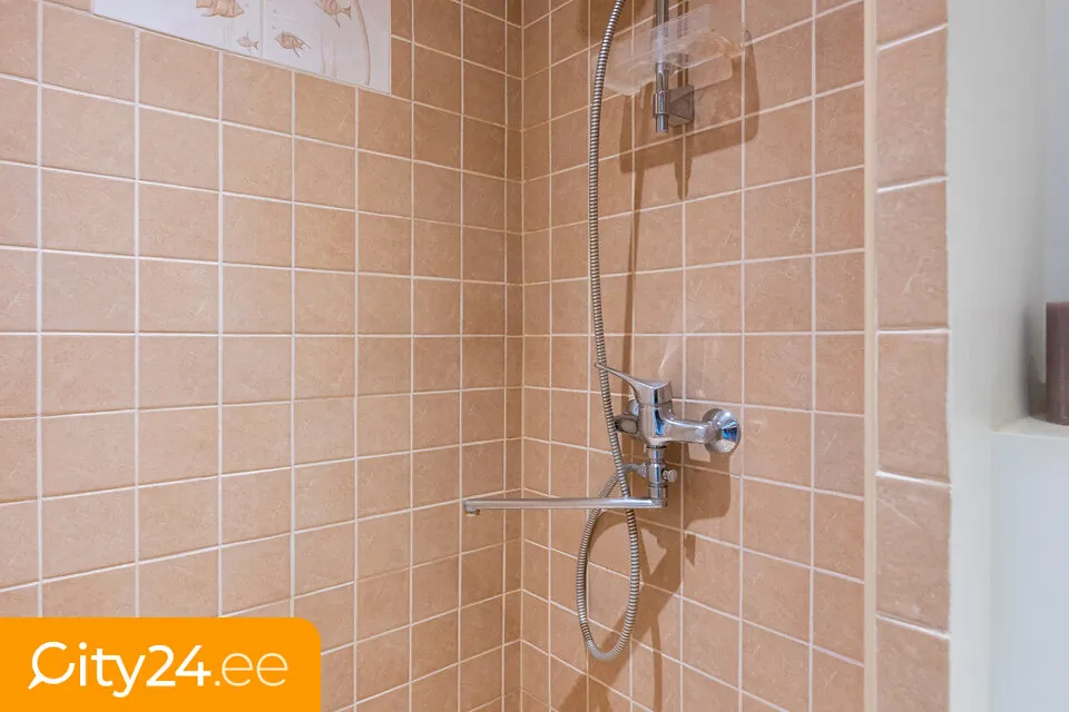 Salles de bain - Apartment with Stone Construction in Tallinn