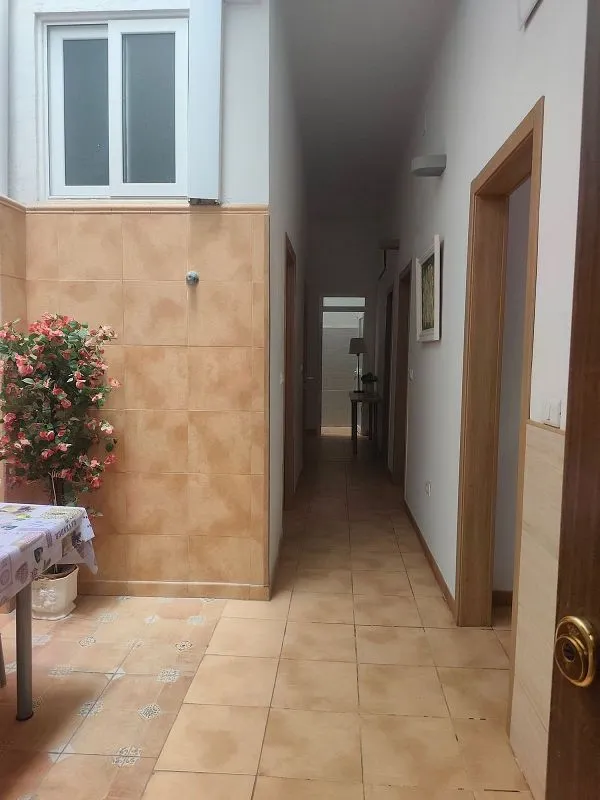 Jardin - Furnished Flat with Terrace in Tomás Morales