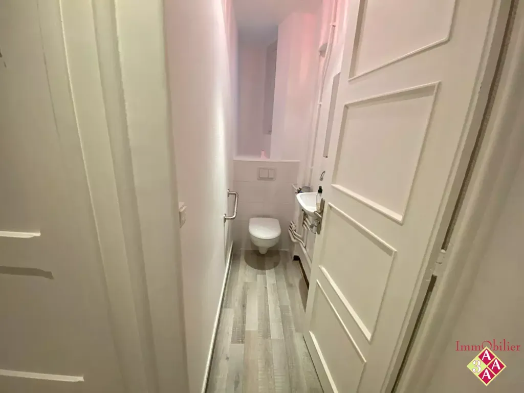 Bathrooms - Renovated Apartment with Balcony in Grenoble Centre