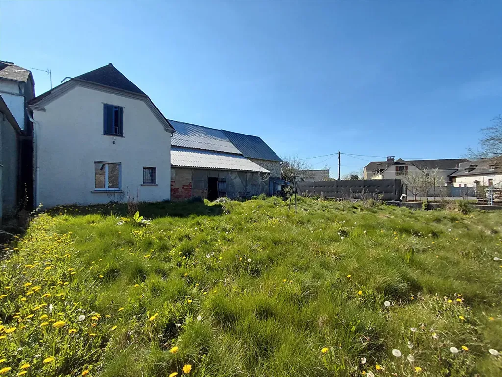 Jardin - Grange Réaménagée en Deux Habitations à Bénéjacq