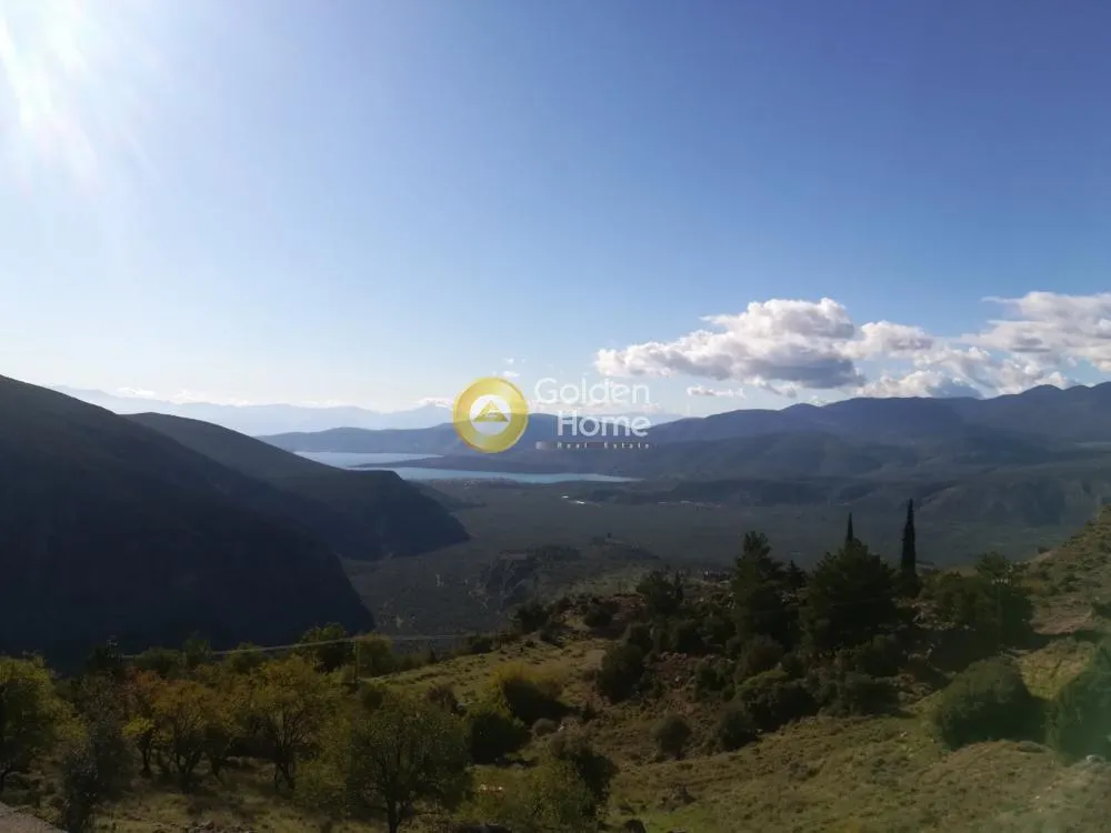 Amphitheatre-Style Plot with Panoramic Views in Delphi