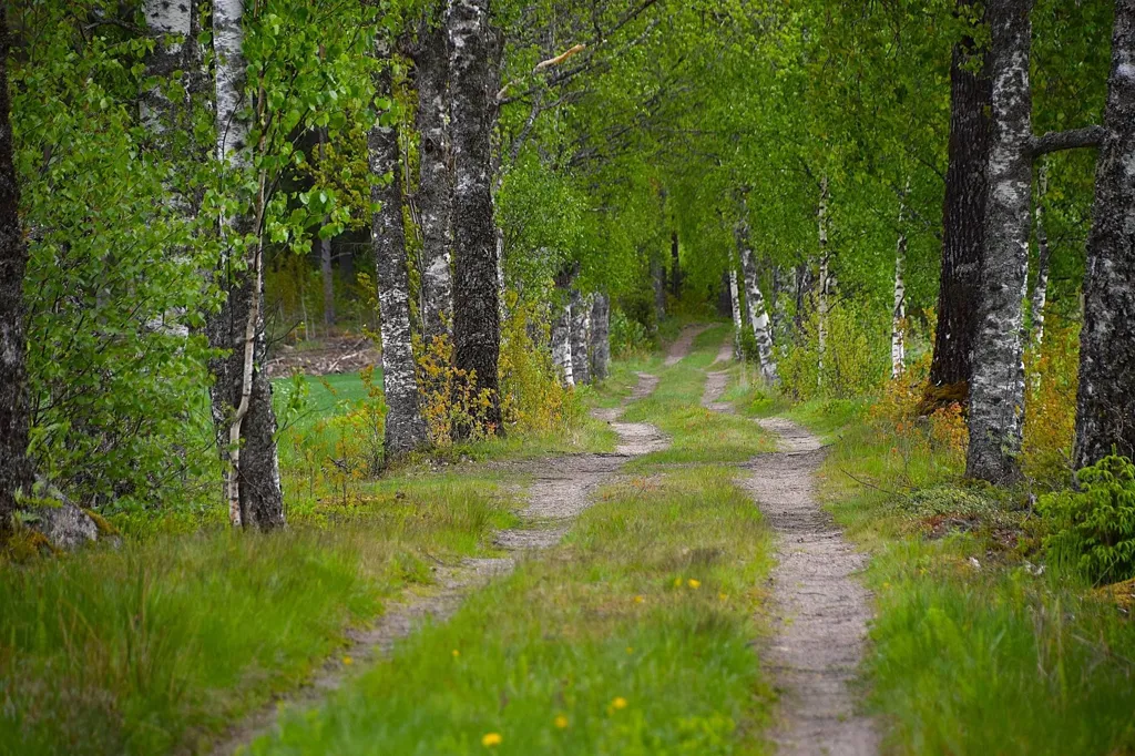 Jardin - Farm with Lake Access in Granviksnäset