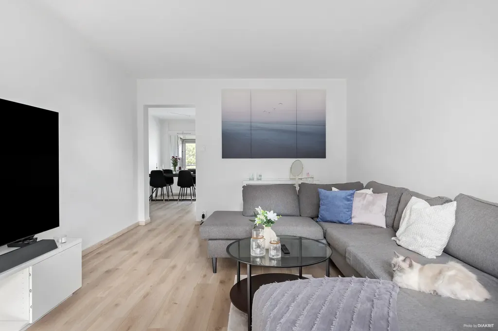 Séjour - Apartment with Balcony in Örkelljunga