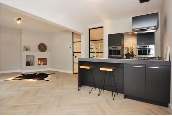 Kitchen - 2-Bedroom Apartment with Park View in Den Haag