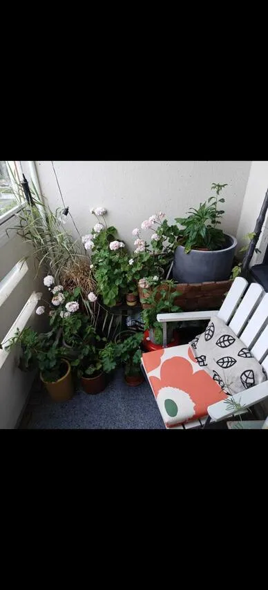 Balcon - 1971 Apartment with Balcony in Kallio