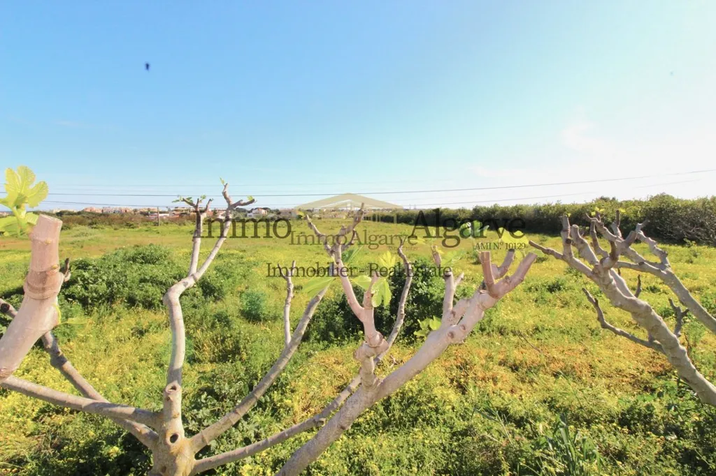 Jardin - Villa with Restaurant in Vale Carro, Albufeira
