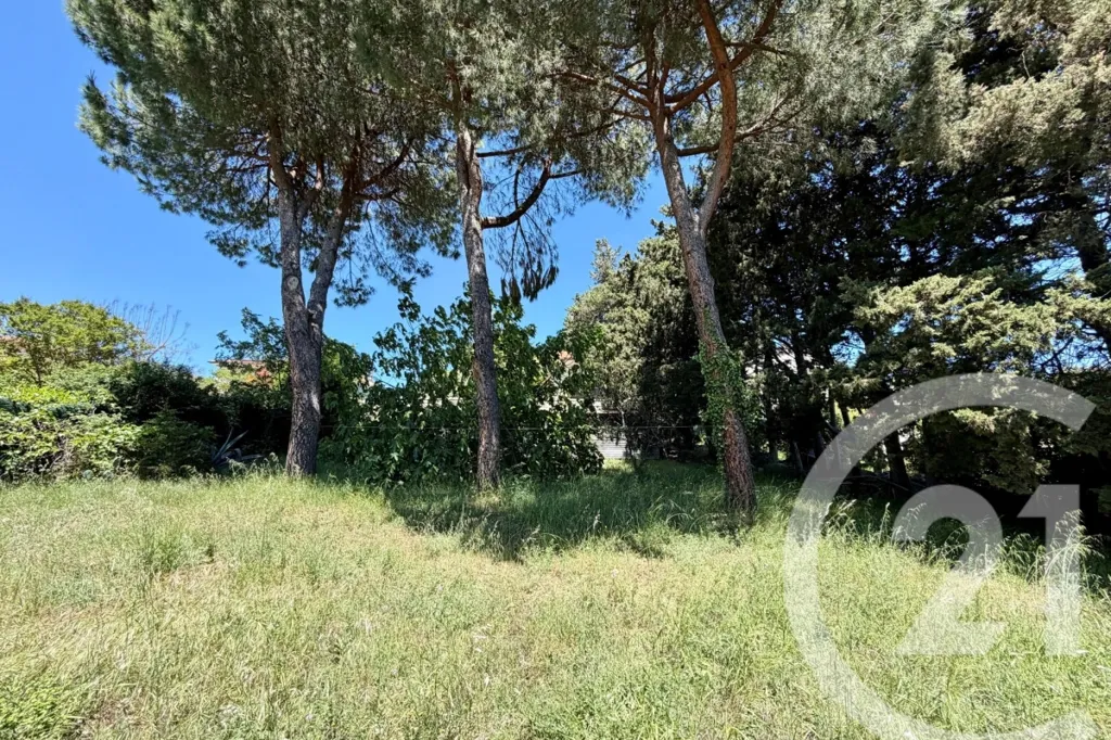 Jardin - Maison en Pierre avec Terrasse à Antibes