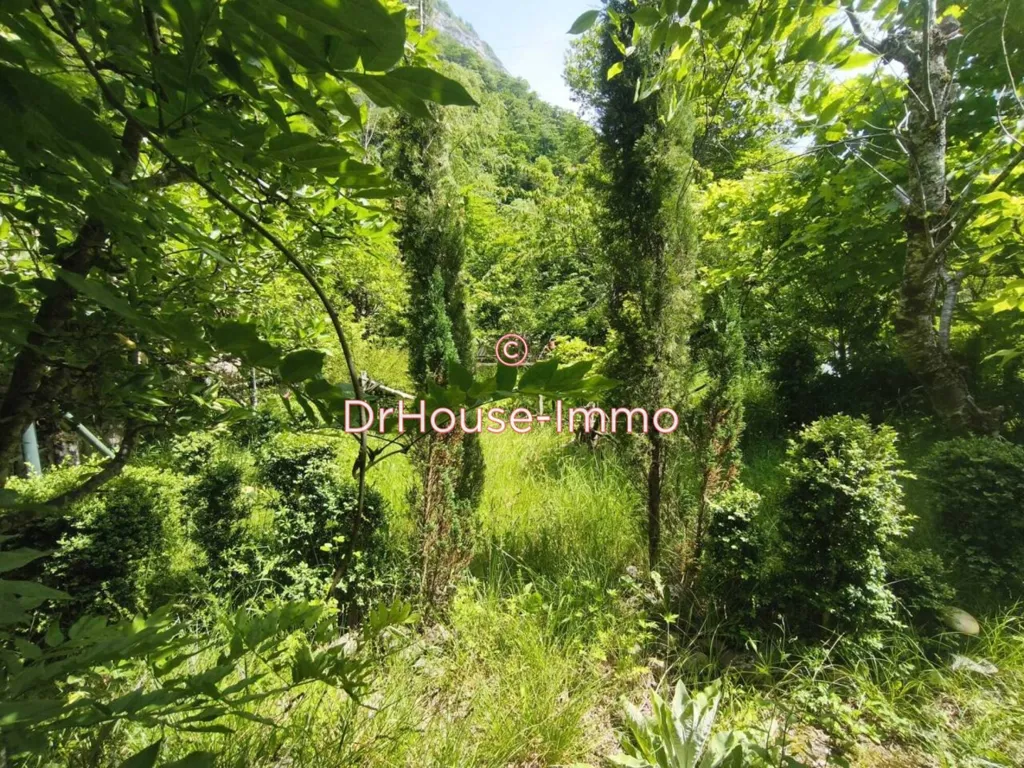 Garden - Spacious 5-Piece Apartment with Terrace in Eaux-Bonnes